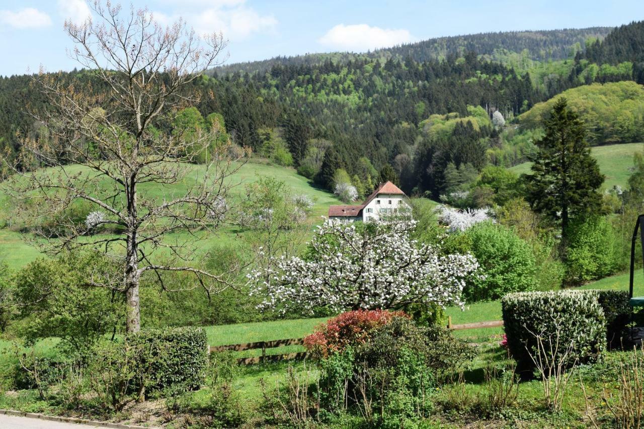 Ferienwohnung Im Dettenbachtal Waldkirch Exterior photo